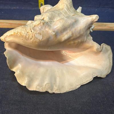 Sale Photo Thumbnail #672