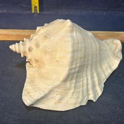 Sale Photo Thumbnail #665