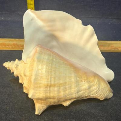 Sale Photo Thumbnail #667