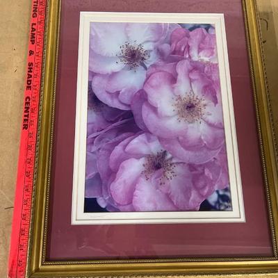 Sale Photo Thumbnail #522