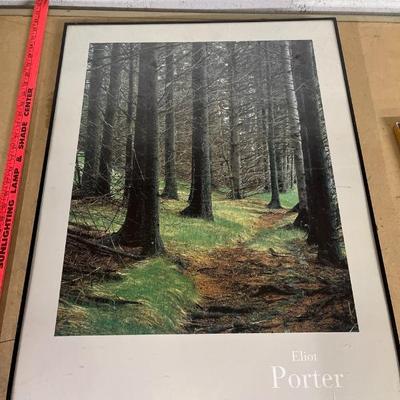 Sale Photo Thumbnail #530