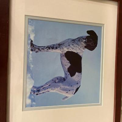 Sale Photo Thumbnail #235