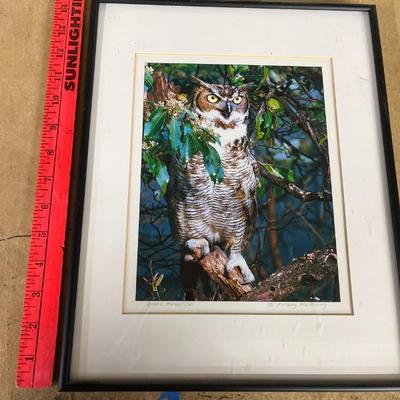 Sale Photo Thumbnail #526