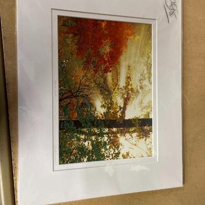 Sale Photo Thumbnail #343