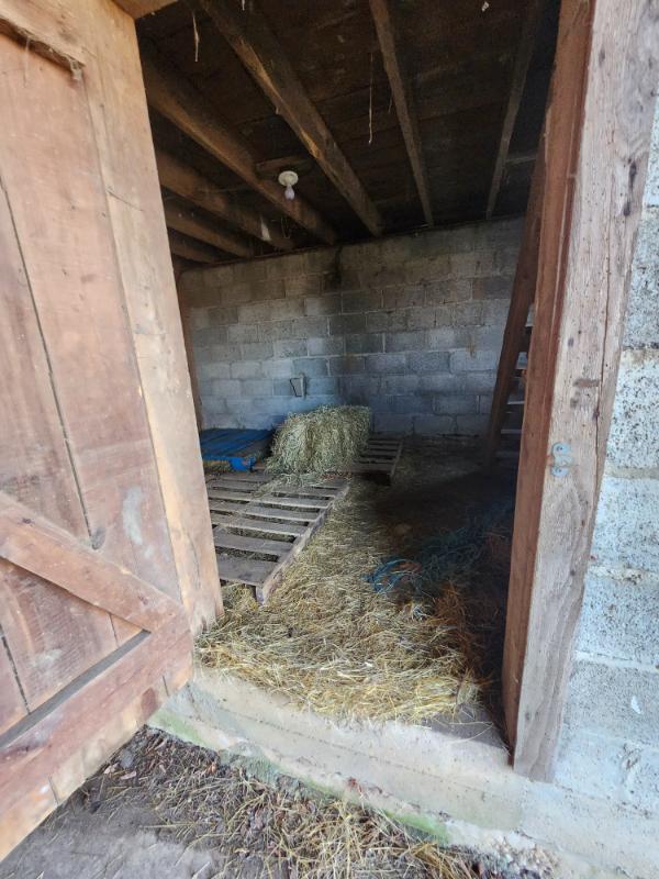 Sale Photo Thumbnail #11