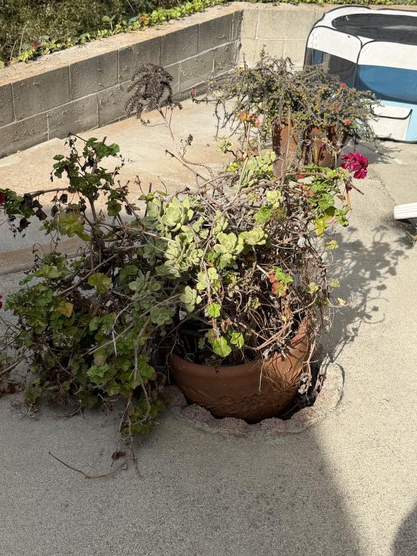 Sale Photo Thumbnail #232