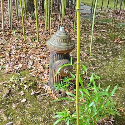 Sale Photo Thumbnail #122