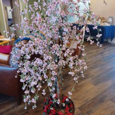 Sale Photo Thumbnail #5