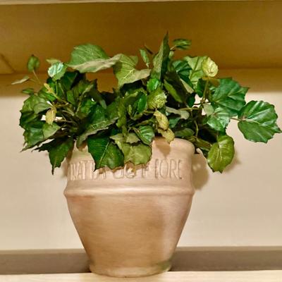 Sale Photo Thumbnail #120