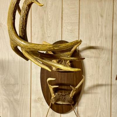 Sale Photo Thumbnail #160