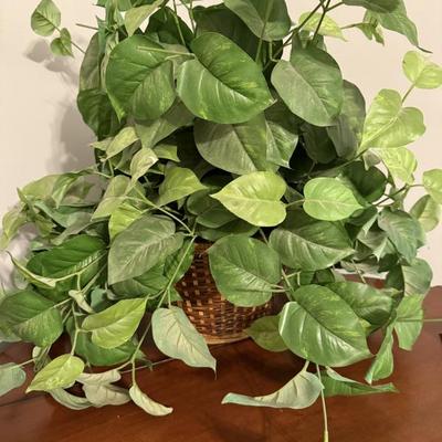 Sale Photo Thumbnail #33