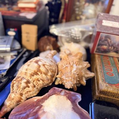 Sale Photo Thumbnail #117