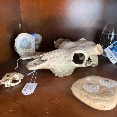 Sale Photo Thumbnail #115