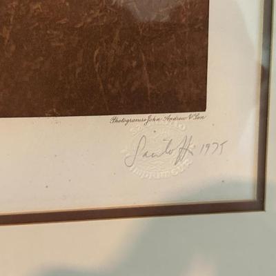 Sale Photo Thumbnail #364