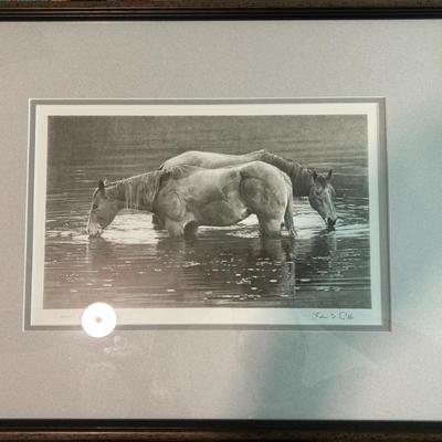 Sale Photo Thumbnail #381