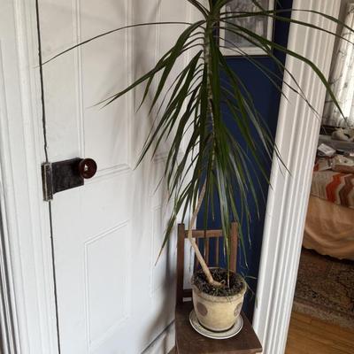 Sale Photo Thumbnail #155