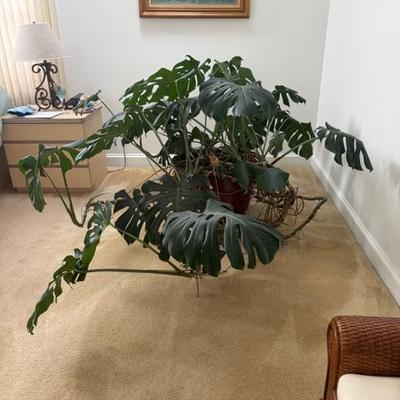 Sale Photo Thumbnail #53