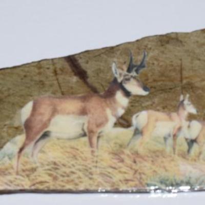 Sale Photo Thumbnail #402