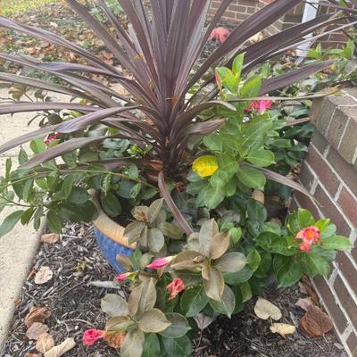 Sale Photo Thumbnail #182