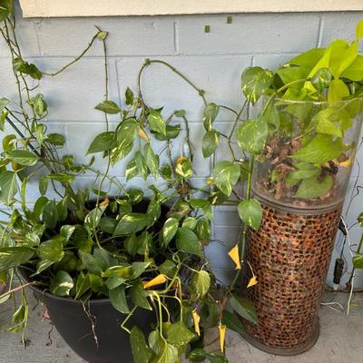 Sale Photo Thumbnail #80