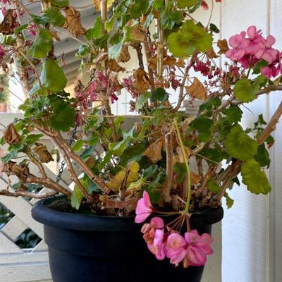 Sale Photo Thumbnail #22