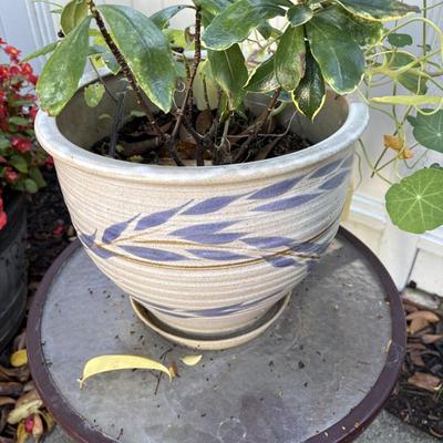 Sale Photo Thumbnail #21