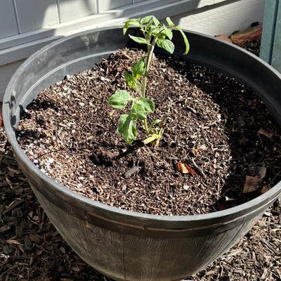 Sale Photo Thumbnail #30