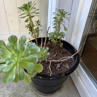 Sale Photo Thumbnail #23