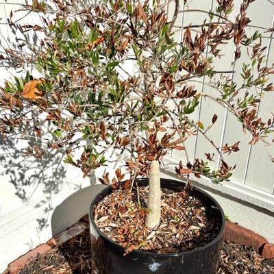 Sale Photo Thumbnail #29