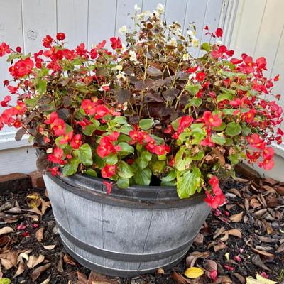 Sale Photo Thumbnail #24