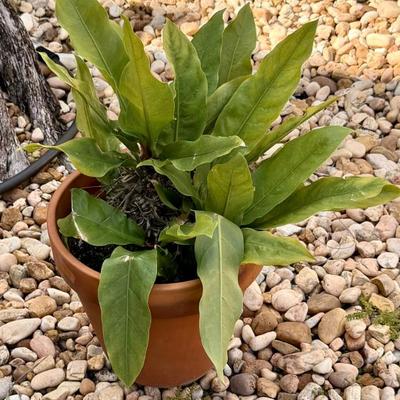 Sale Photo Thumbnail #96