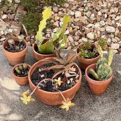 Sale Photo Thumbnail #89