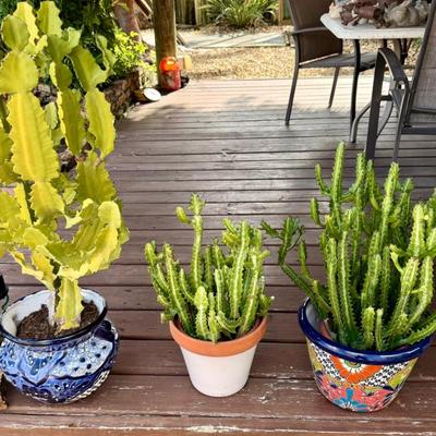 Sale Photo Thumbnail #92