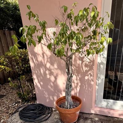 Sale Photo Thumbnail #90