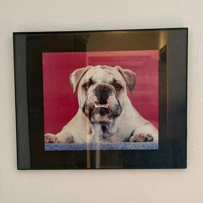 Sale Photo Thumbnail #148