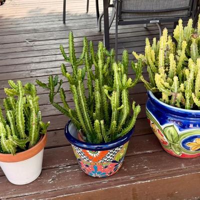 Sale Photo Thumbnail #93