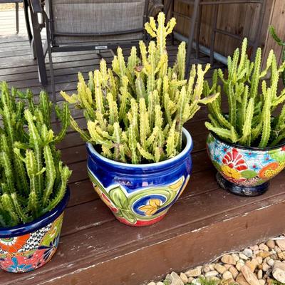 Sale Photo Thumbnail #94