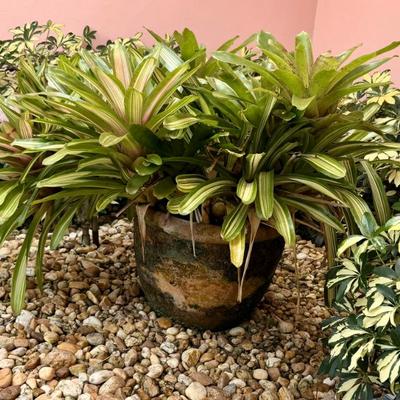 Sale Photo Thumbnail #81