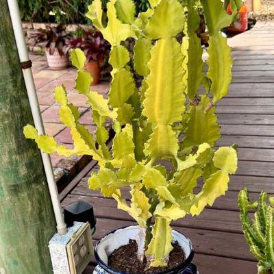 Sale Photo Thumbnail #91