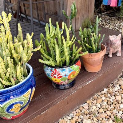 Sale Photo Thumbnail #95