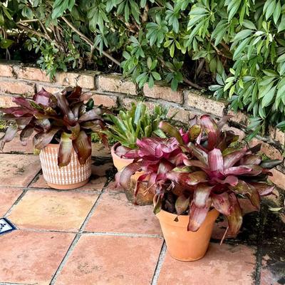 Sale Photo Thumbnail #97