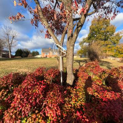 Sale Photo Thumbnail #41