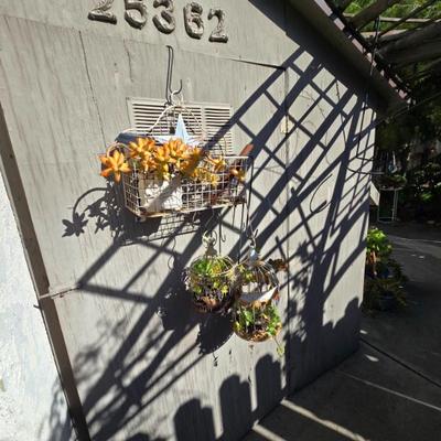 Sale Photo Thumbnail #34