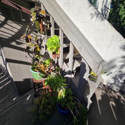 Sale Photo Thumbnail #35