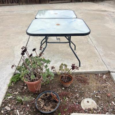 Sale Photo Thumbnail #48