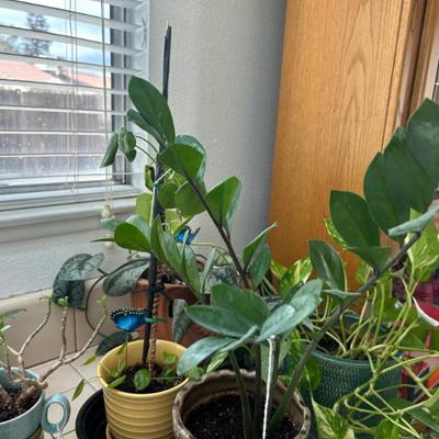 Sale Photo Thumbnail #105