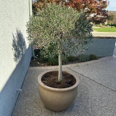 Sale Photo Thumbnail #94