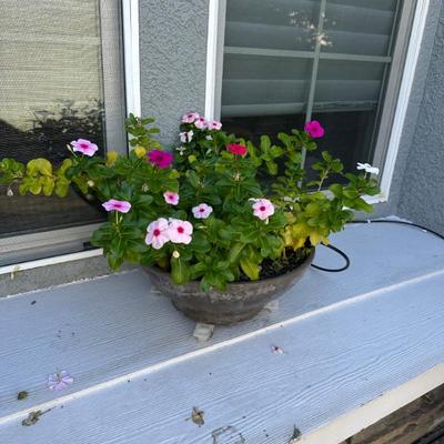 Sale Photo Thumbnail #96