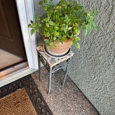 Sale Photo Thumbnail #92