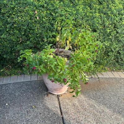 Sale Photo Thumbnail #95